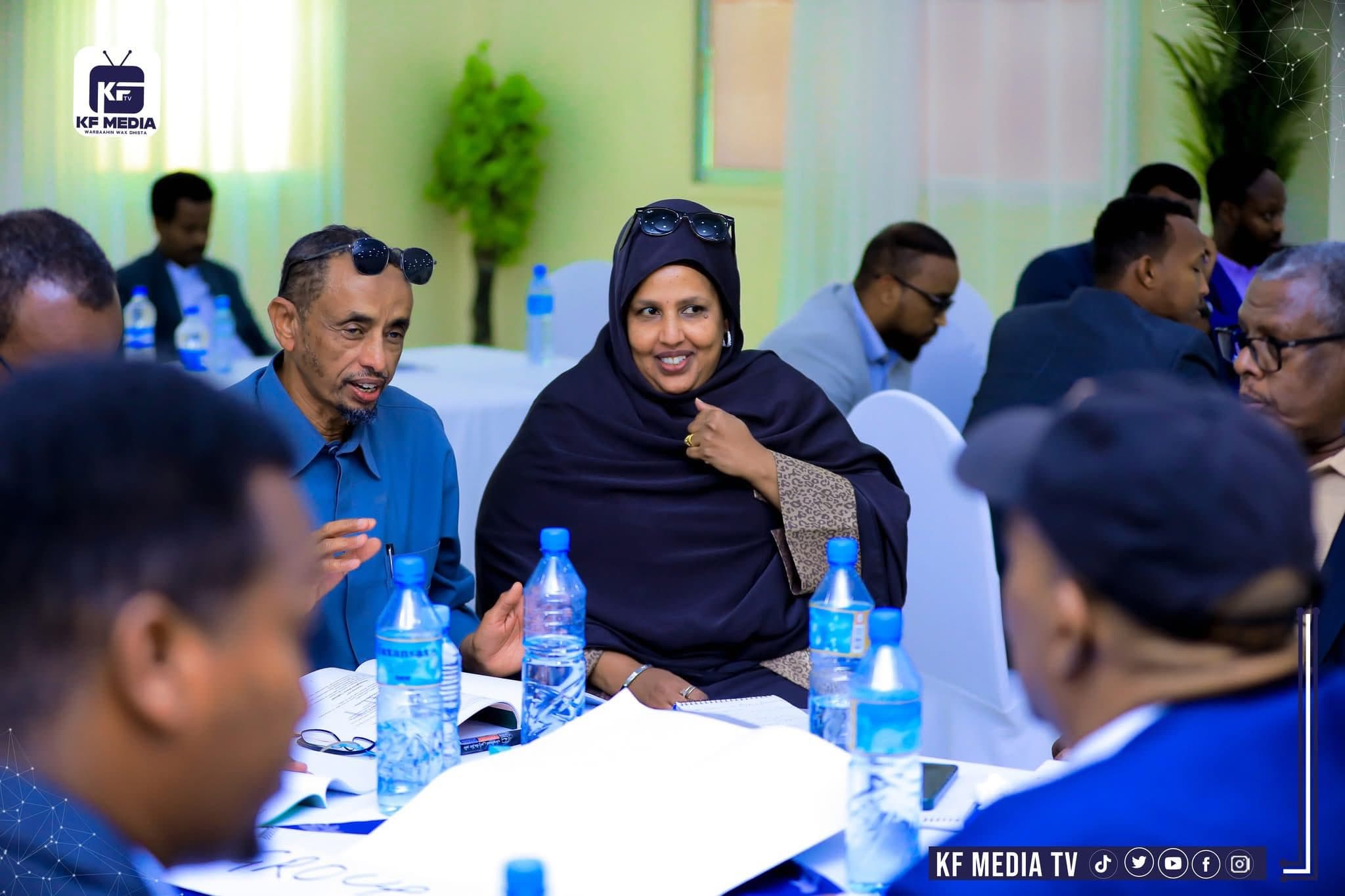 Vice Minister of Somaliland Ministry of Health Developement