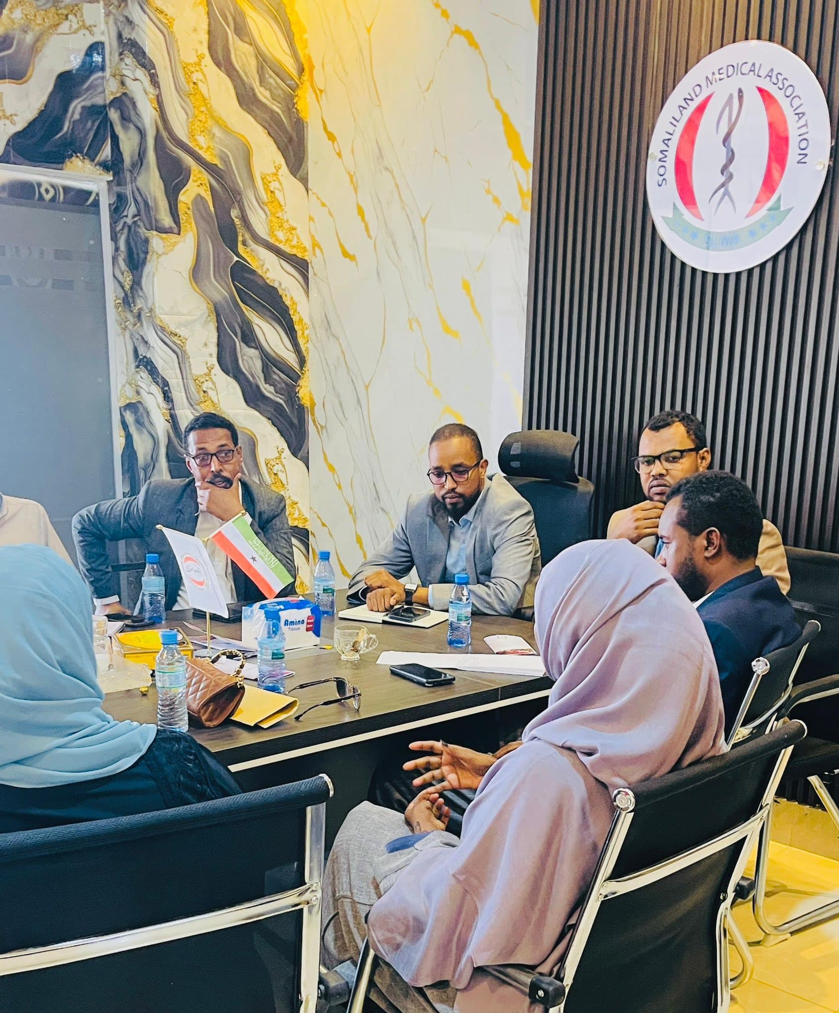 Somaliland Health Professional Associations Meeting