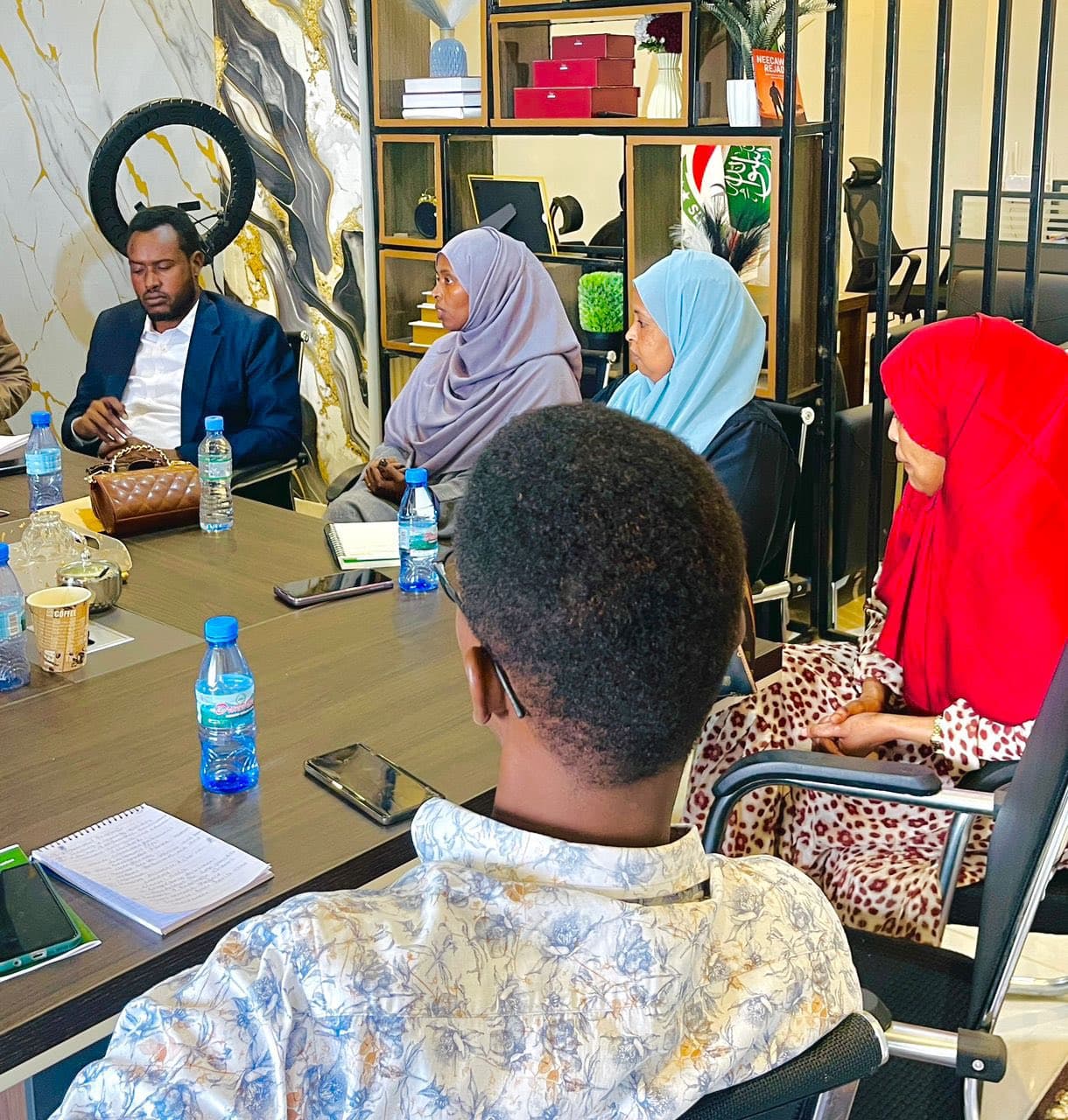 Somaliland Health Professional Associations Meeting