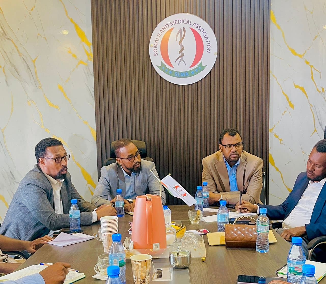 Somaliland Health Professional Associations Meeting