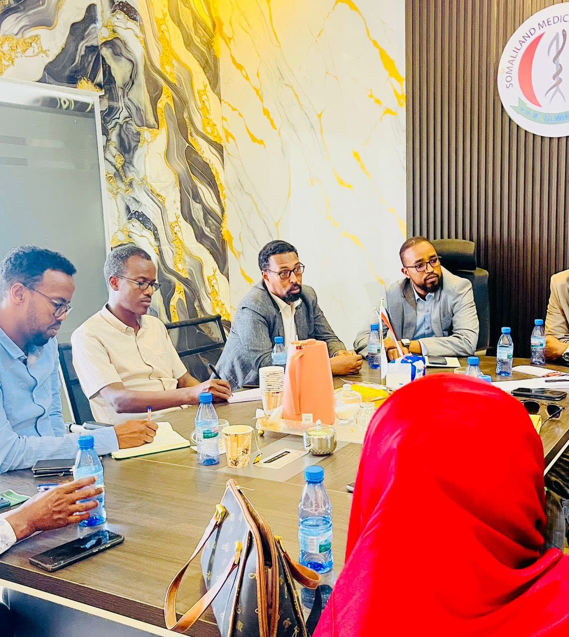 Somaliland Health Professional Associations Meeting