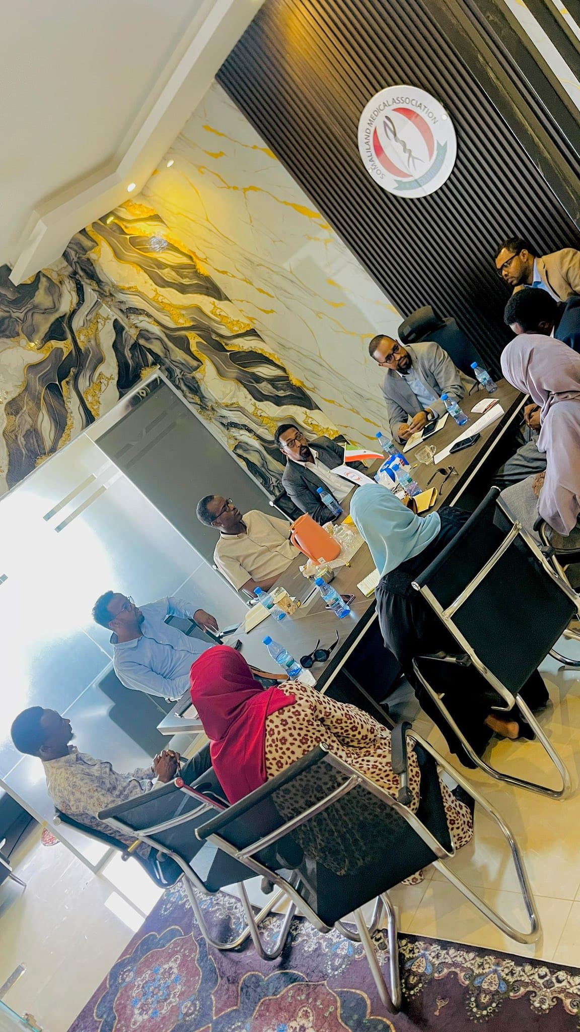 Somaliland Health Professional Associations Meeting